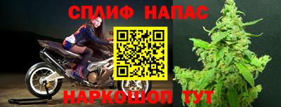 стаф Беслан