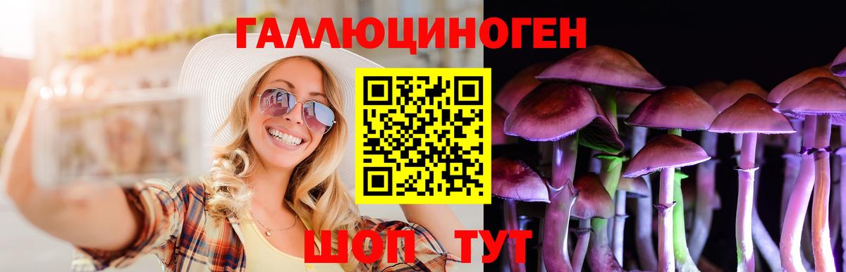 Калач-на-Дону  Псилоцибиновые грибы Psilocybine cubensis  Галлюциногенные грибы Psilocybe  Вход с VPN 